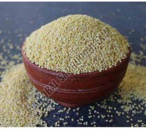 A Grade Kodo Millet, Color : Off White, Packaging Type : Bag