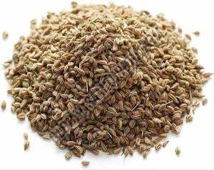 A Grade Natural Carom Seeds, Color : Brown for Flatbreads (Parathas)