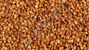 Brown A Grade Buckwheat Millet, Packaging Type : Packet