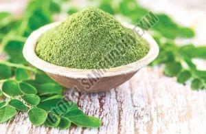 Moringa Products, Color : Green, Form : Powder for Medicine, Cosmetic