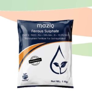 Ferrous Sulphate