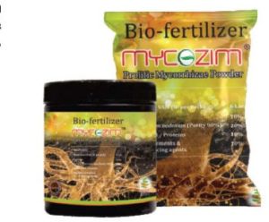 Prolific Mycorrhizae Powder