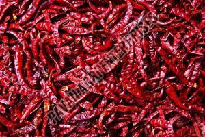 Red Chilli, Brand Name : Teja, Beda