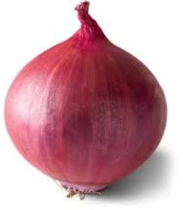 fresh onion