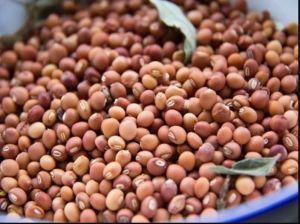 Soft Toor Dal Seeds, Color : Brown 16%, Packaging Size : 25-50kg