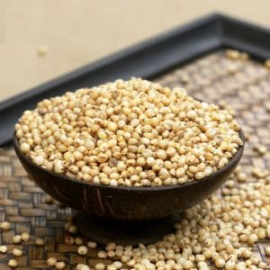 White Sorghum Seeds