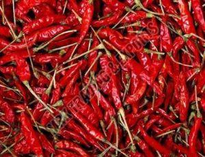 Guntur Dry Red Chilli, Packaging Type : PP Bag for Spicy