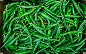 green chilli