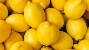 Organic Fresh Lemon, Color : Yellow for Juice, Pickles, Drinks