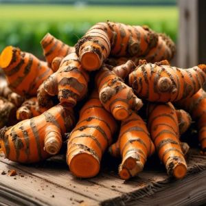 Turmeric Bulbs