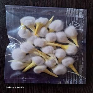 cotton wicks