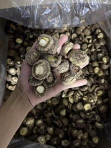 Dehydrated Shiitake Mushroom, Color : Light Brown for Cooking