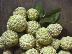 Organic Fresh Custard Apple, State Of Origin : Maharashtra
