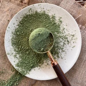 Blended Indigo Powder, Brand Name : Now Care, Packaging Type : Green