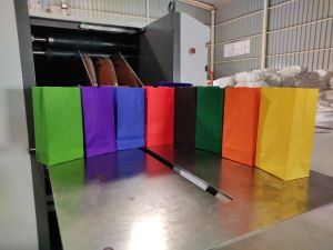 Colored Paper Bags