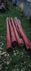 Red Sandal Wood