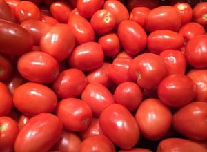 Fresh Red Tomato, Packaging Type : Mesh Bag