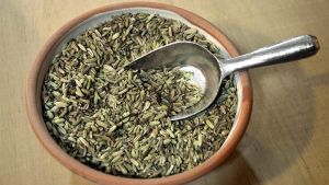 Fennel Seeds