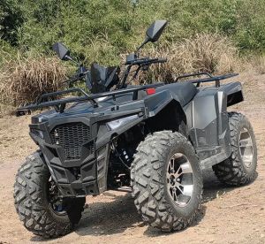 Electric 100% 2000watt Aluminium Atv 250cc Quad Bike