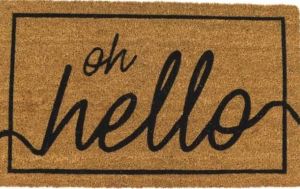 Eco Friendly Rubber Moulded Coir Brush Mat