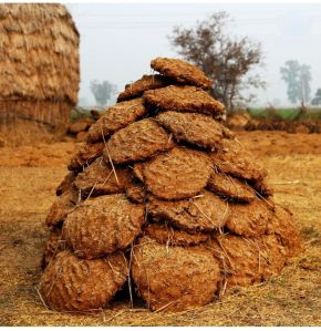 Organic Dmd Cow Dung, Color : Brown