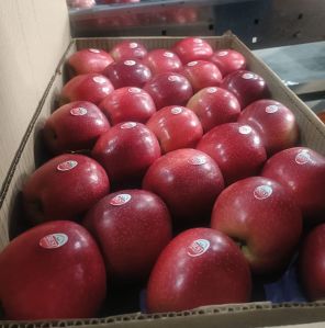 Red Delicious Apple