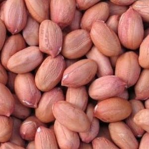 Raw Groundnut Seeds