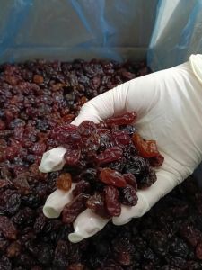 High Quality Vietnamese Dried Grapes, Brand Name : 99 GOLD DATA