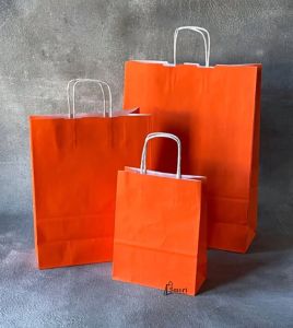 Plain Twisted Handle Paper Carry Bag