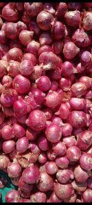 Red Onions, Packaging Size : 18kg, 20kg, 25Kg, 50Kg Gunny Bag