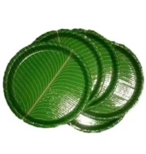 Disposable Leaf Plates