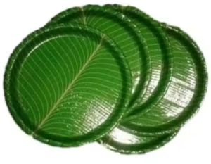 Areca Leaf Plate