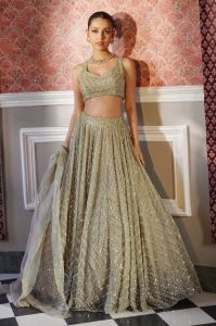 Ladies Wedding Wear Lehenga Choli