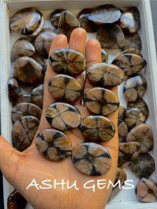Chiastolite Cabochon