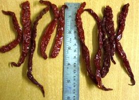 red chilli,  Drying Process : Natural Dry