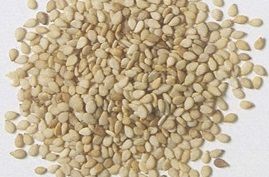 White Sesame Seeds, Packaging Type : Plastic Bag for Cooking, Baking