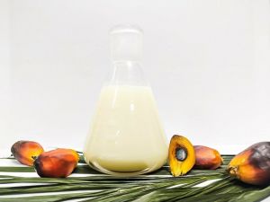 Rbd Palm Kernel Stearin