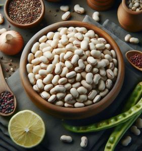 Field Beans for Cooking, Salads, Soups