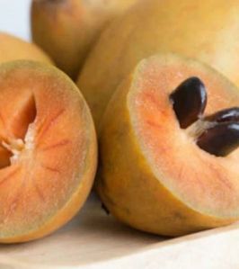 Frozen Sapota for Smoothies, Desserts, Ice Creams