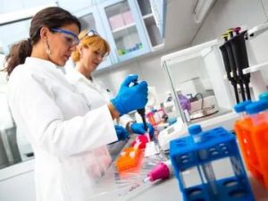 PVC Micro Pipettes, Brand Name : Kanad Vidyut Standard