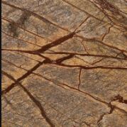 Natural Stone Rain Forest Brown Marbles Standard