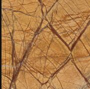 Rain Forest Golden Marbles