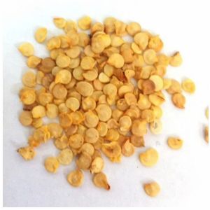 Chilli Seeds for Planting, Oil Extraction