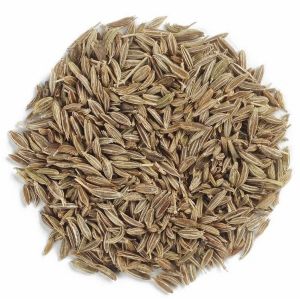 Cumin Seeds for Culinary Medicinal