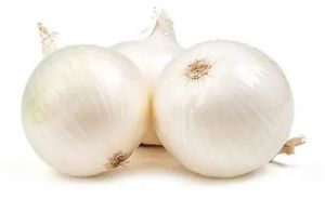 Smooth White Onion