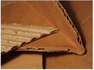 3 Ply Corrugated Cardboard Sheet