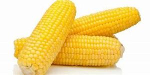 Sweet Corns
