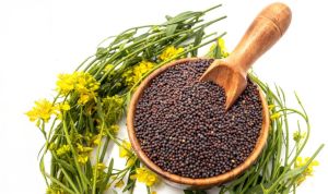 Black Mustard Seed for Cooking, Spice Blends, Pickles