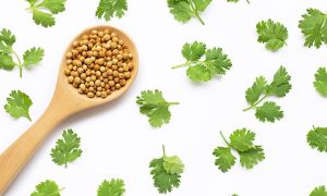 coriander seeds, Purity : 98% - 99.5%, Moisture : 10% Max