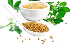 Fenugreek Powder for Culinary Health Purposes